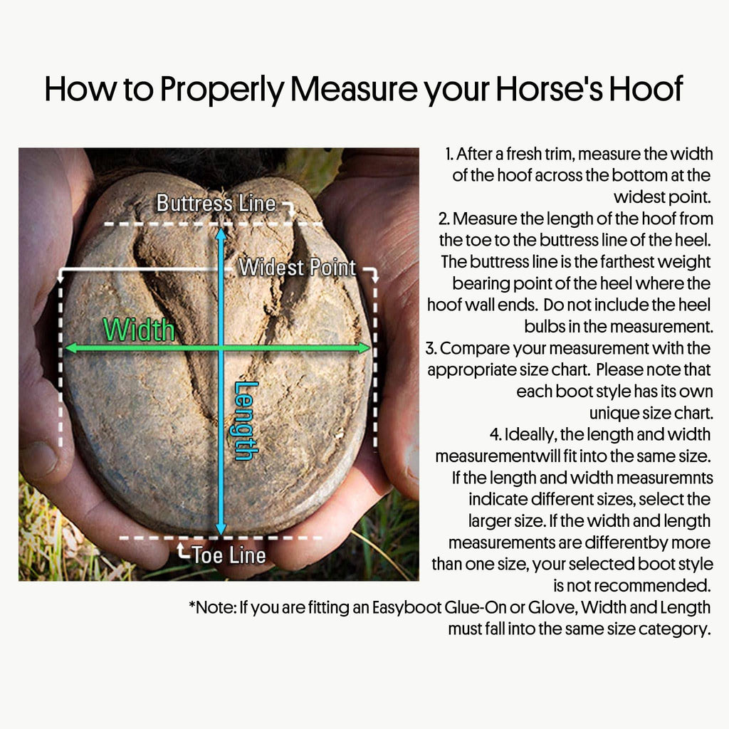 Horse Boot L21301