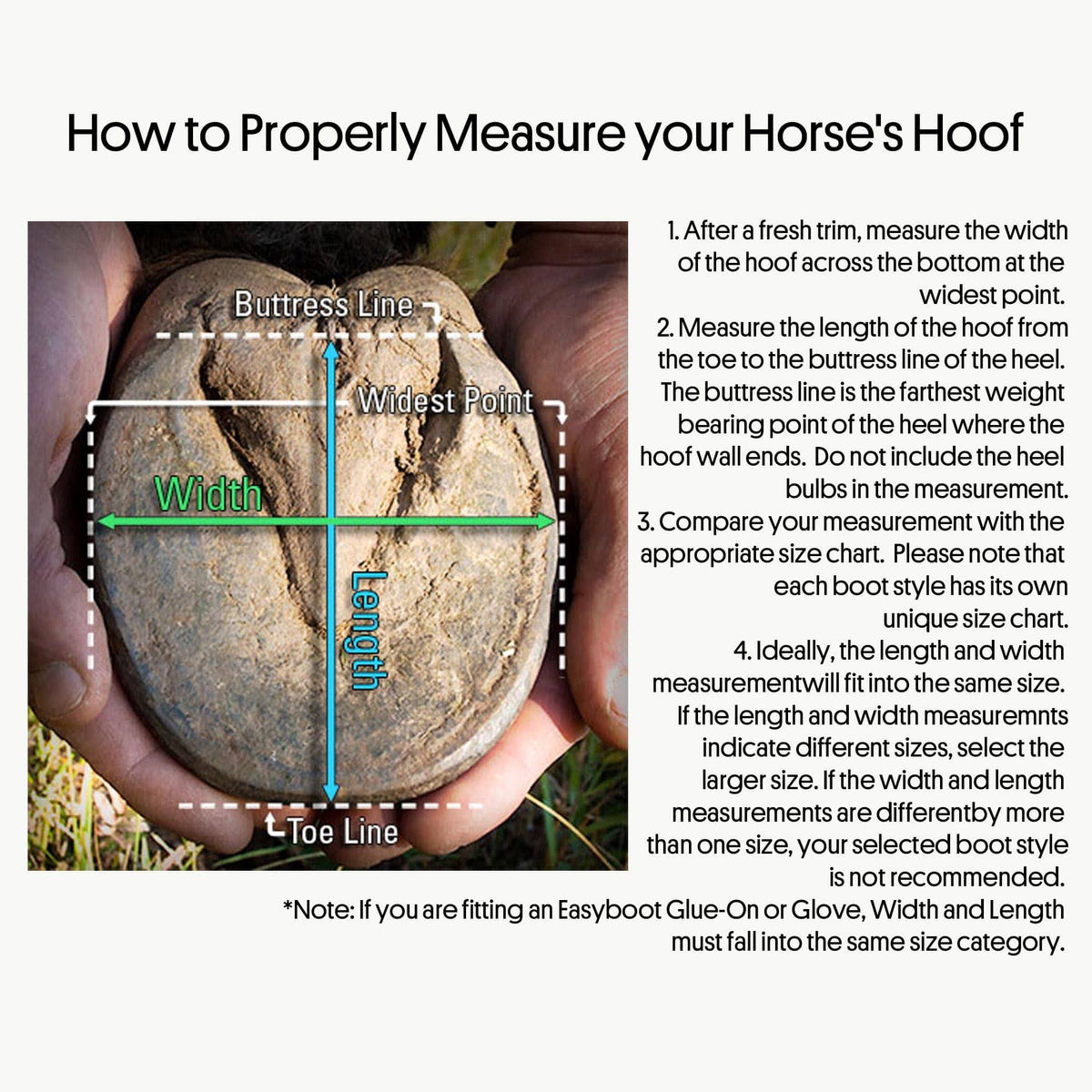 Horse Boot L21301