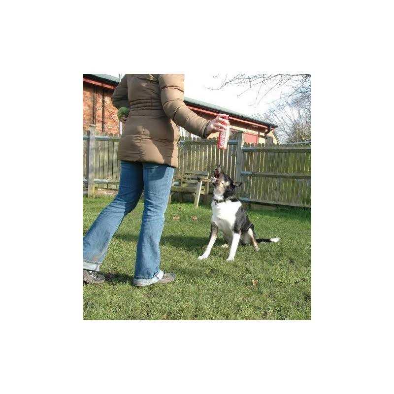 Pet Corrector X4477