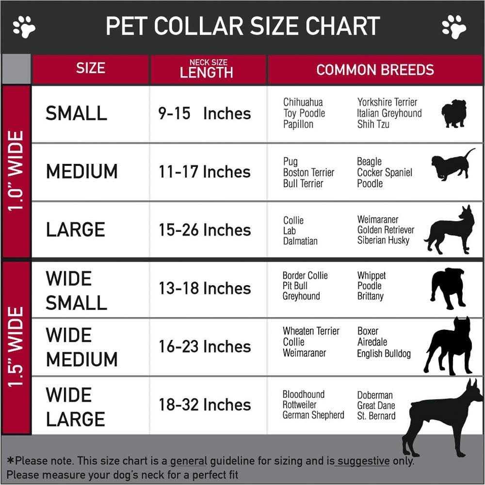 Dog Collar Seatbelt Buckle U19031