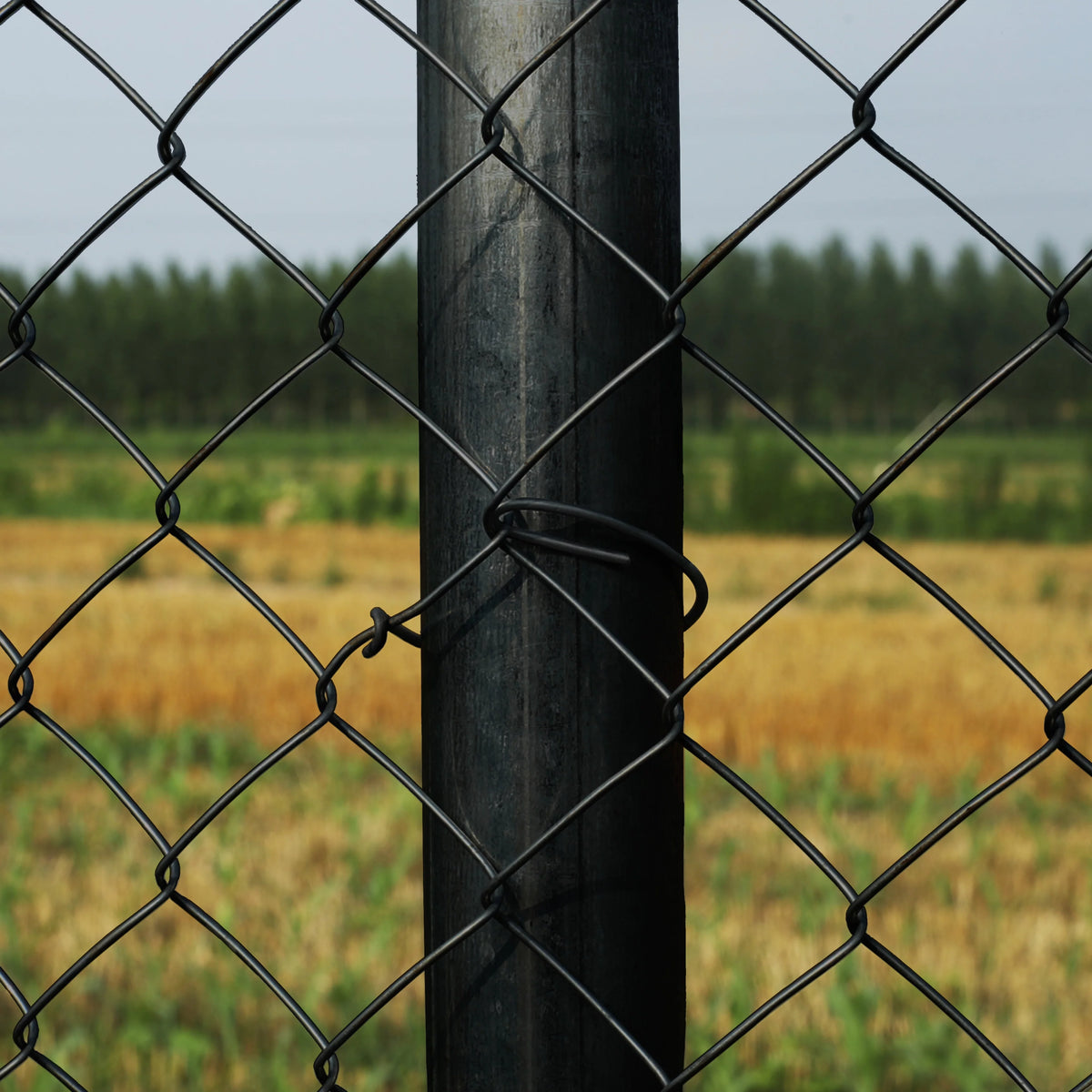 Chain Link Steel Fence 4X50 ft PVC Coated Black Q472
