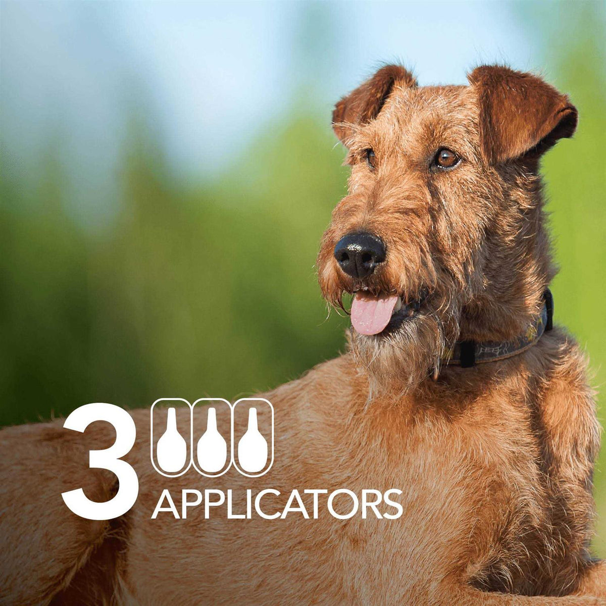 Flea and Tick Prevention Dogs O3558