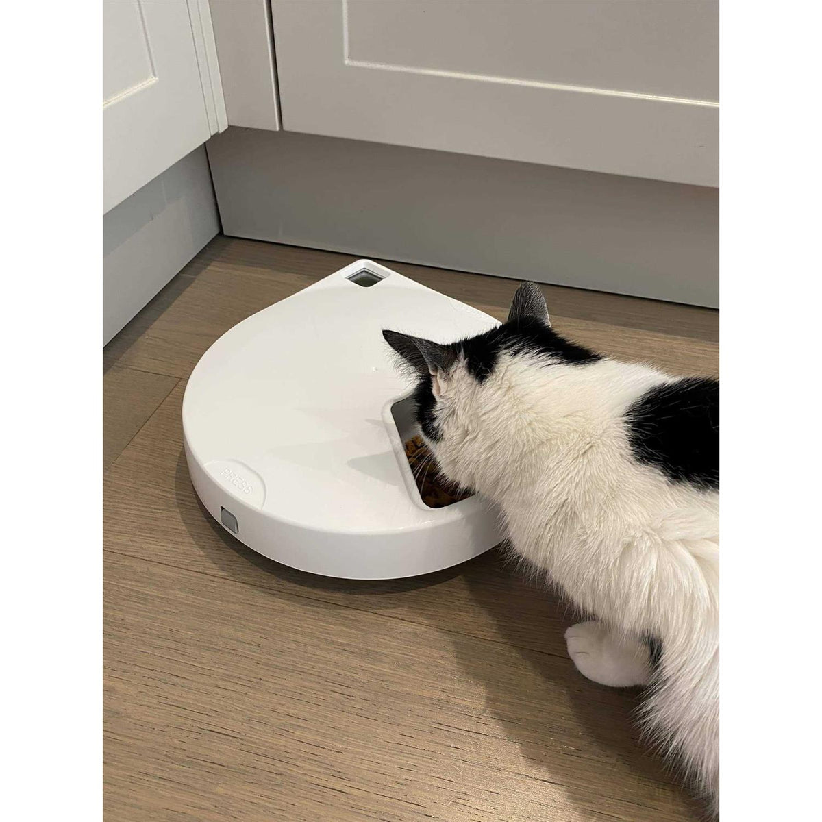 Automatic Pet Feeder with Stainless Steel Bowl Inserts and Ice Packs Q945051