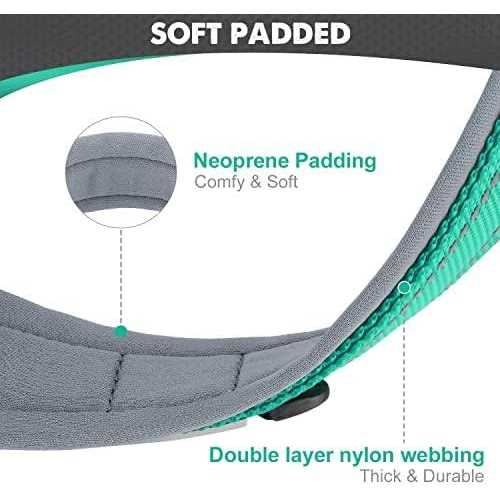 Reflective Neoprene Padded Nylon Adjustable Dog Collar L384