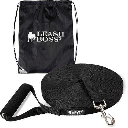 Dog Leash A947