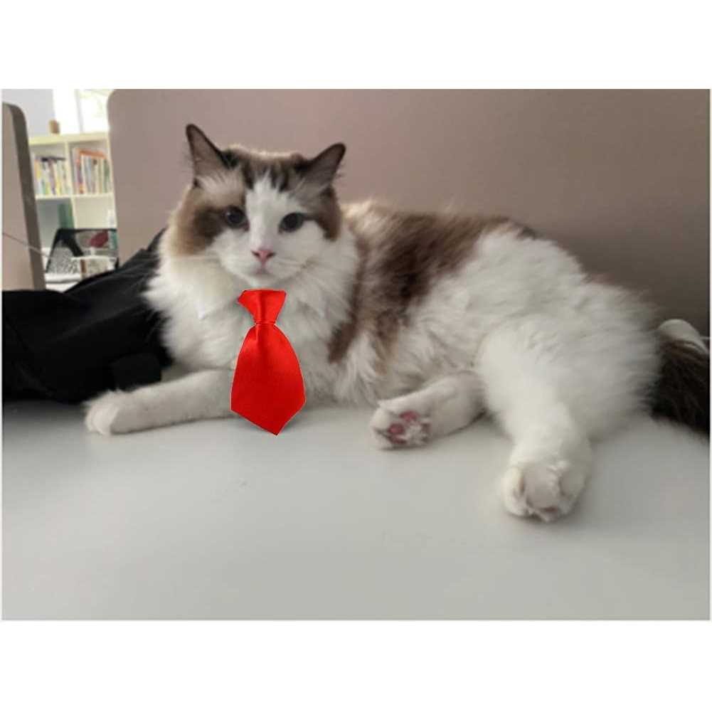 Adjustable Pet Bowtie Collar C1749
