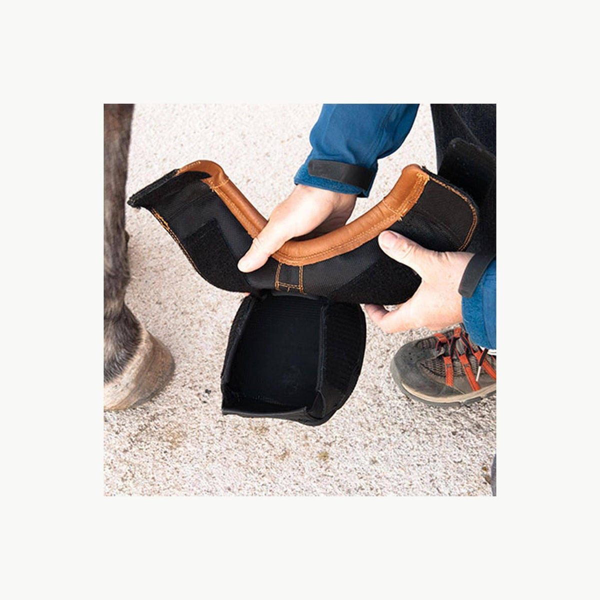Horse Boot L21301