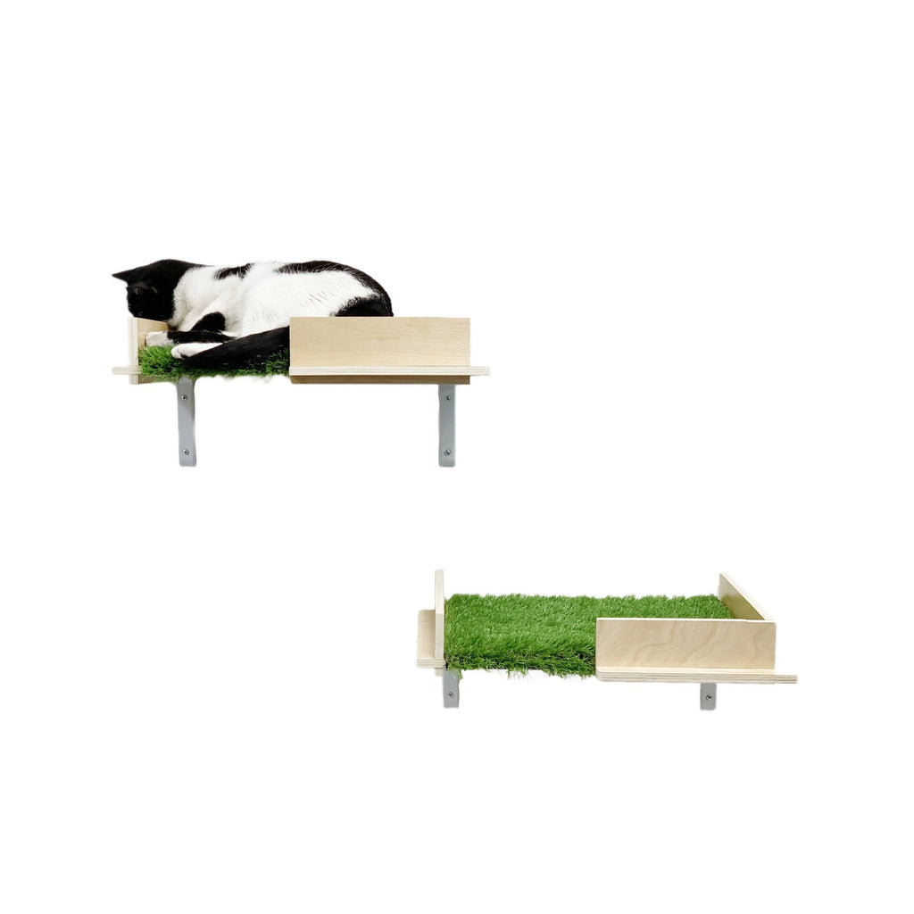 Cat Canopy Wall Shelves, 2 Count W642730