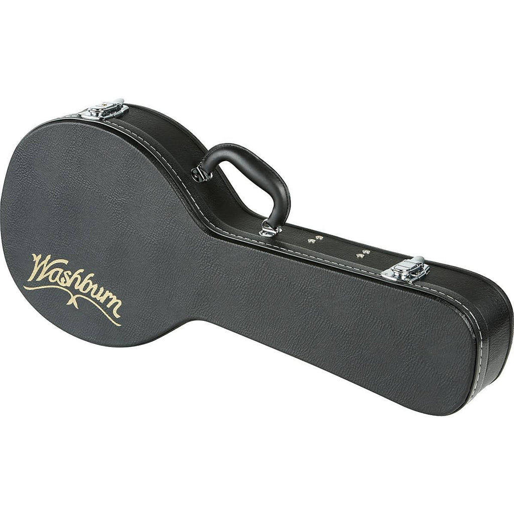 Mandolin Case I6758