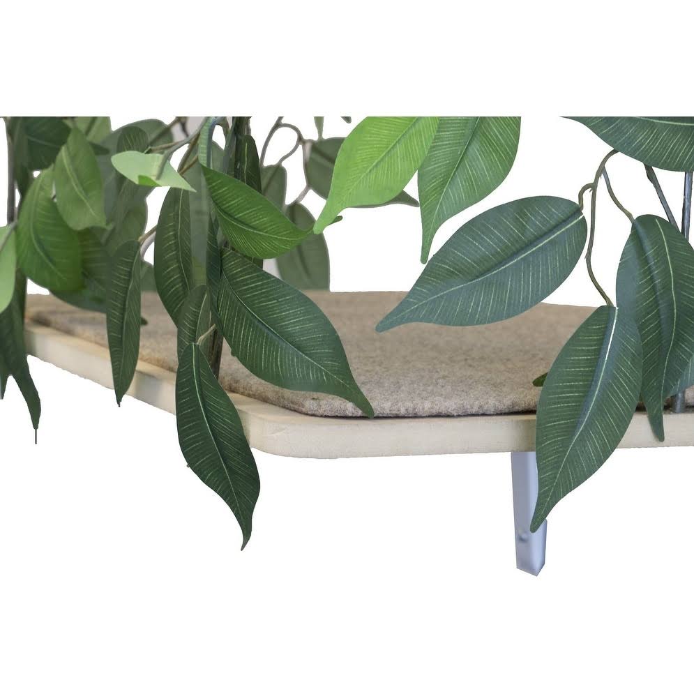 Cat Canopy Wall Shelves, 2 Count W642730