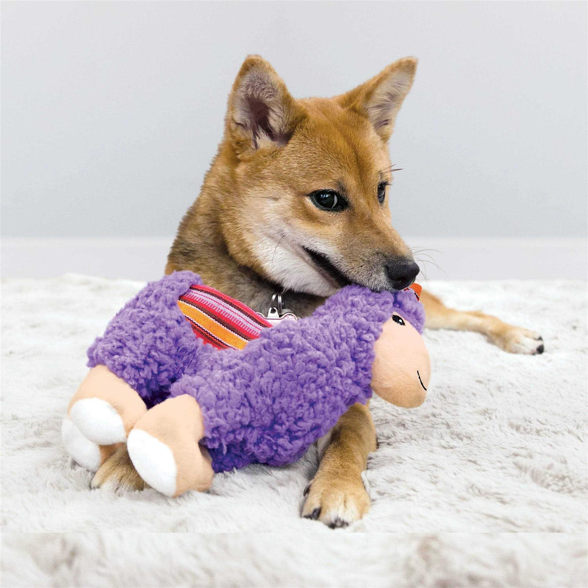 Donkey Dog Toy H21669