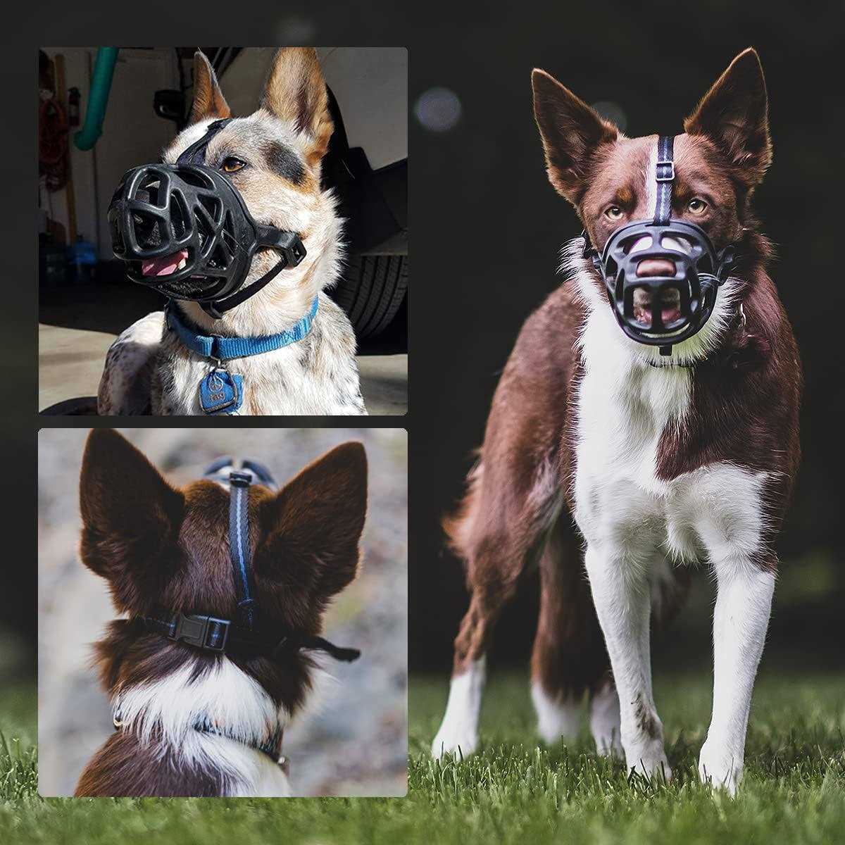 Dog Muzzle U818