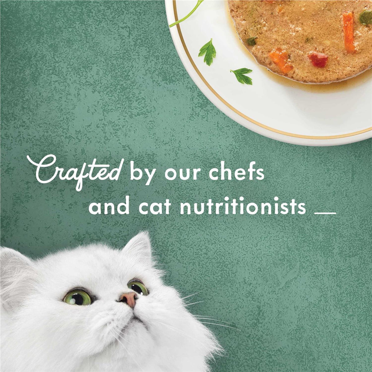 Shredded White Meat Chicken Wet Cat Food V409719