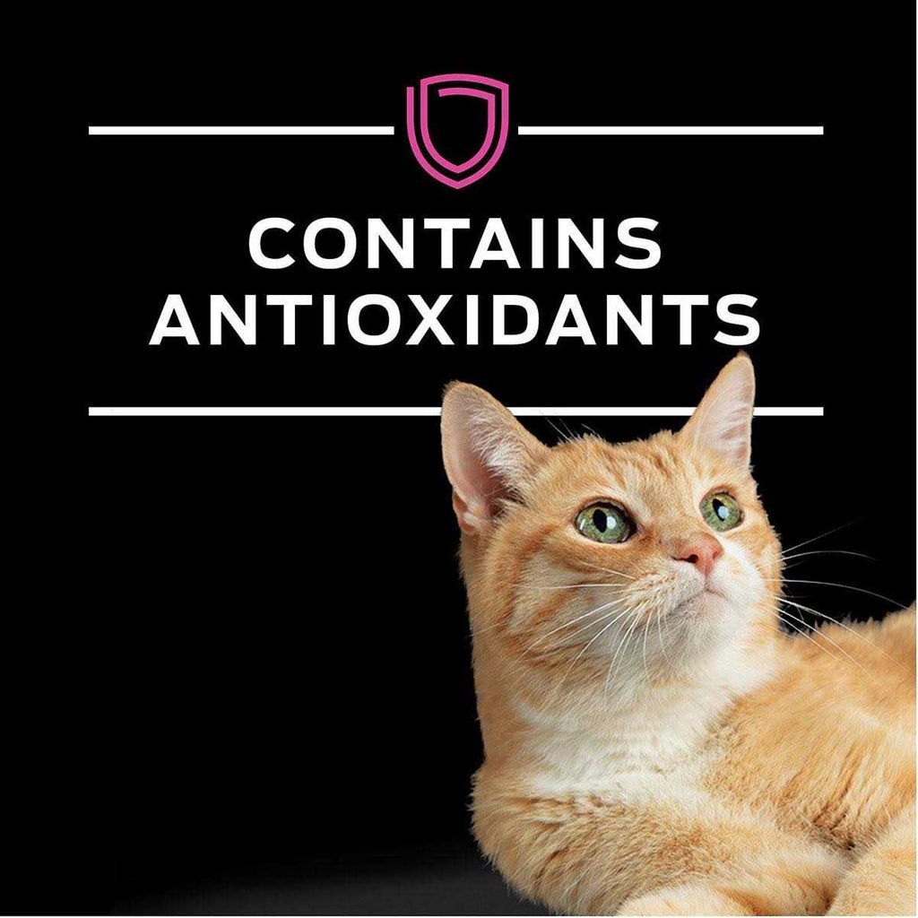 Wet Cat Food U74840