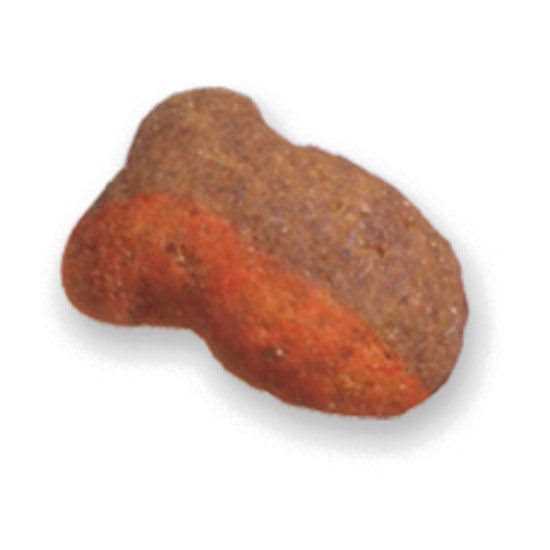 Chicken & Seafood Flavors Crunchy Cat Treats Y123