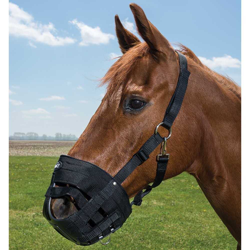 Poly Grazing Muzzle B40903