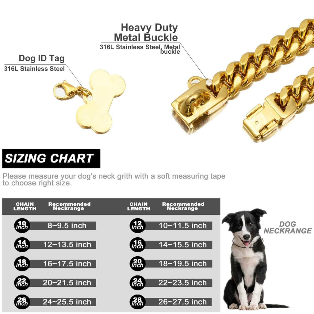 Gold Dog Chain Collar with Secure Buckle J76364