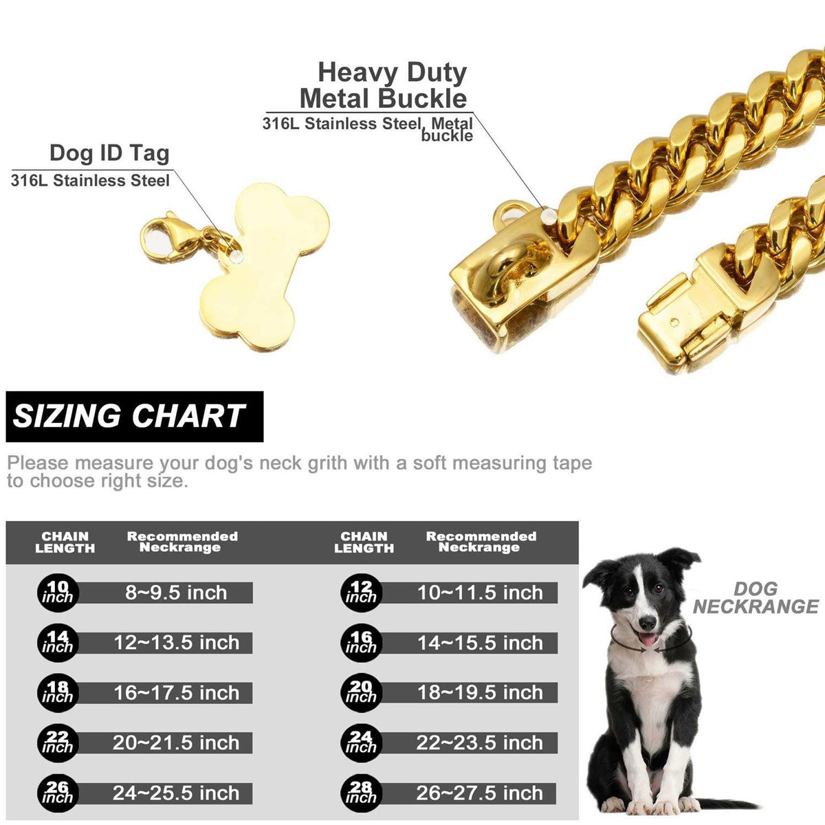 Gold Dog Chain Collar with Secure Buckle J76364