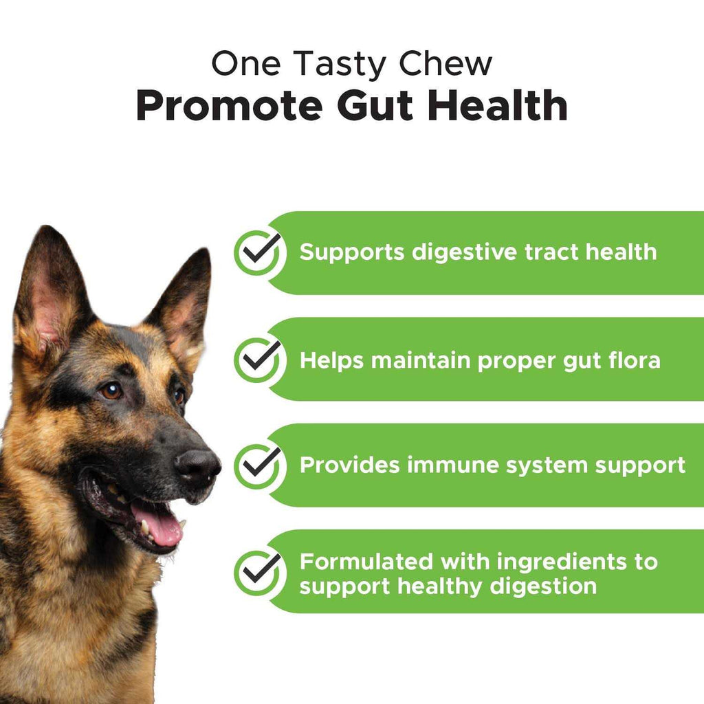 Probiotics for Dogs Digestive Enzymes W82086