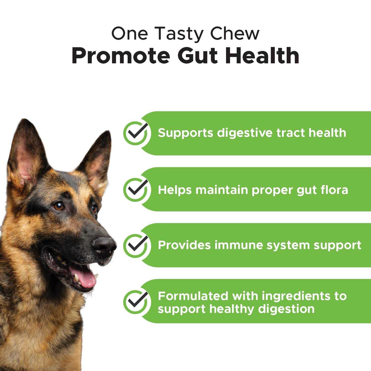 Probiotics for Dogs Digestive Enzymes W82086
