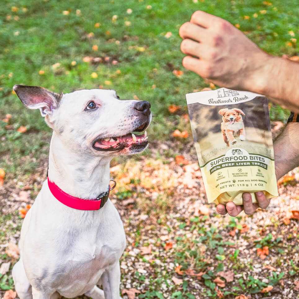 Beef Liver Treats 4 oz C53789