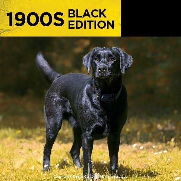 Black 1 Mile Remote Trainer X317162