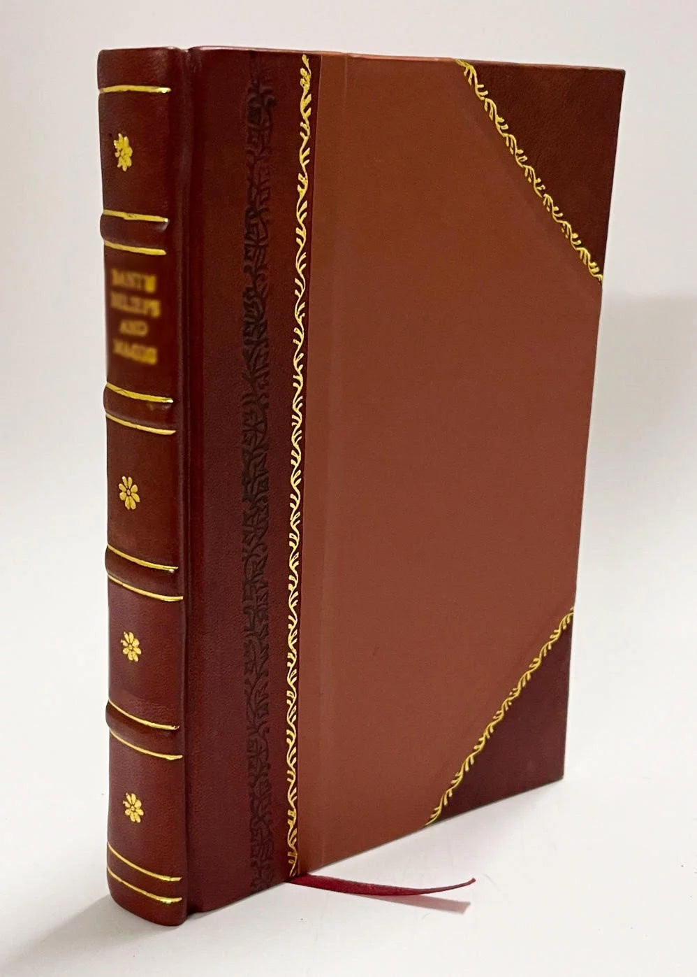 Human Nature Study Leather Bound V42661