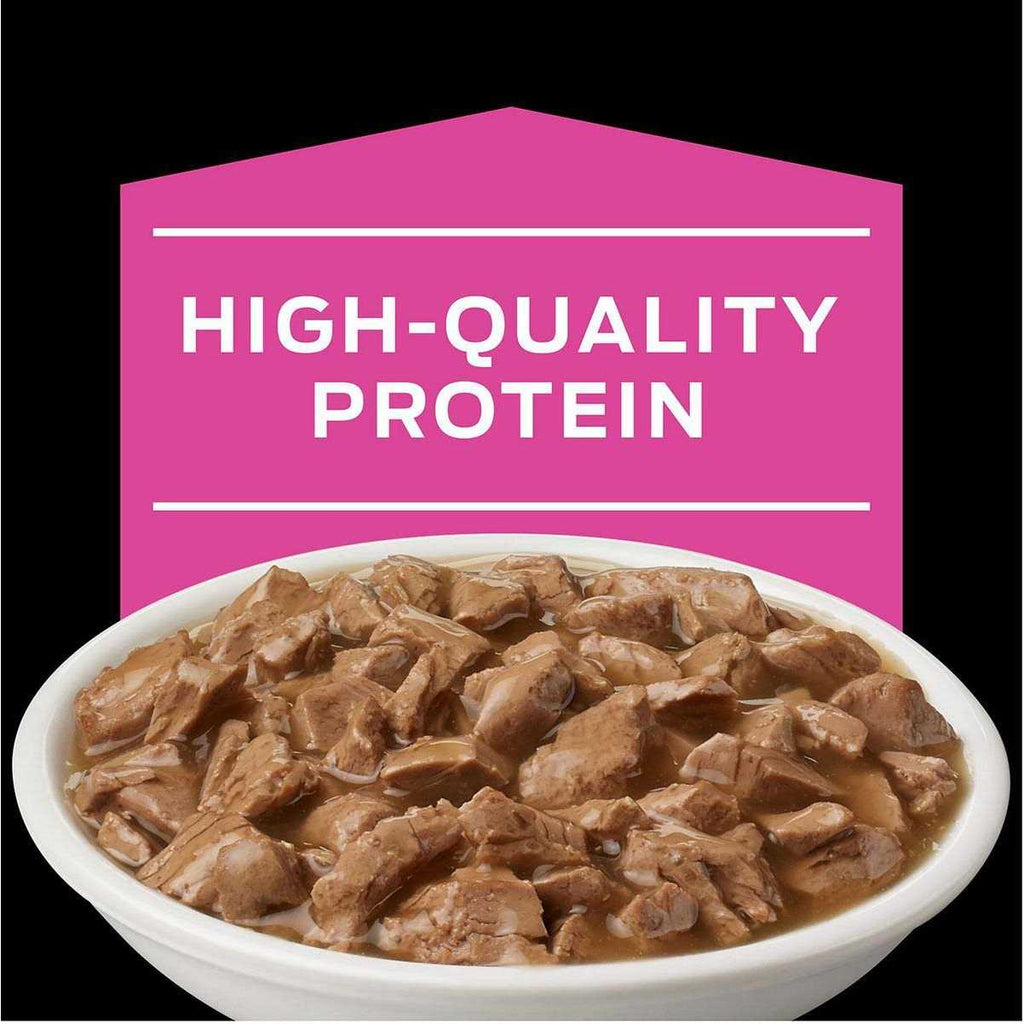Wet Cat Food U74840