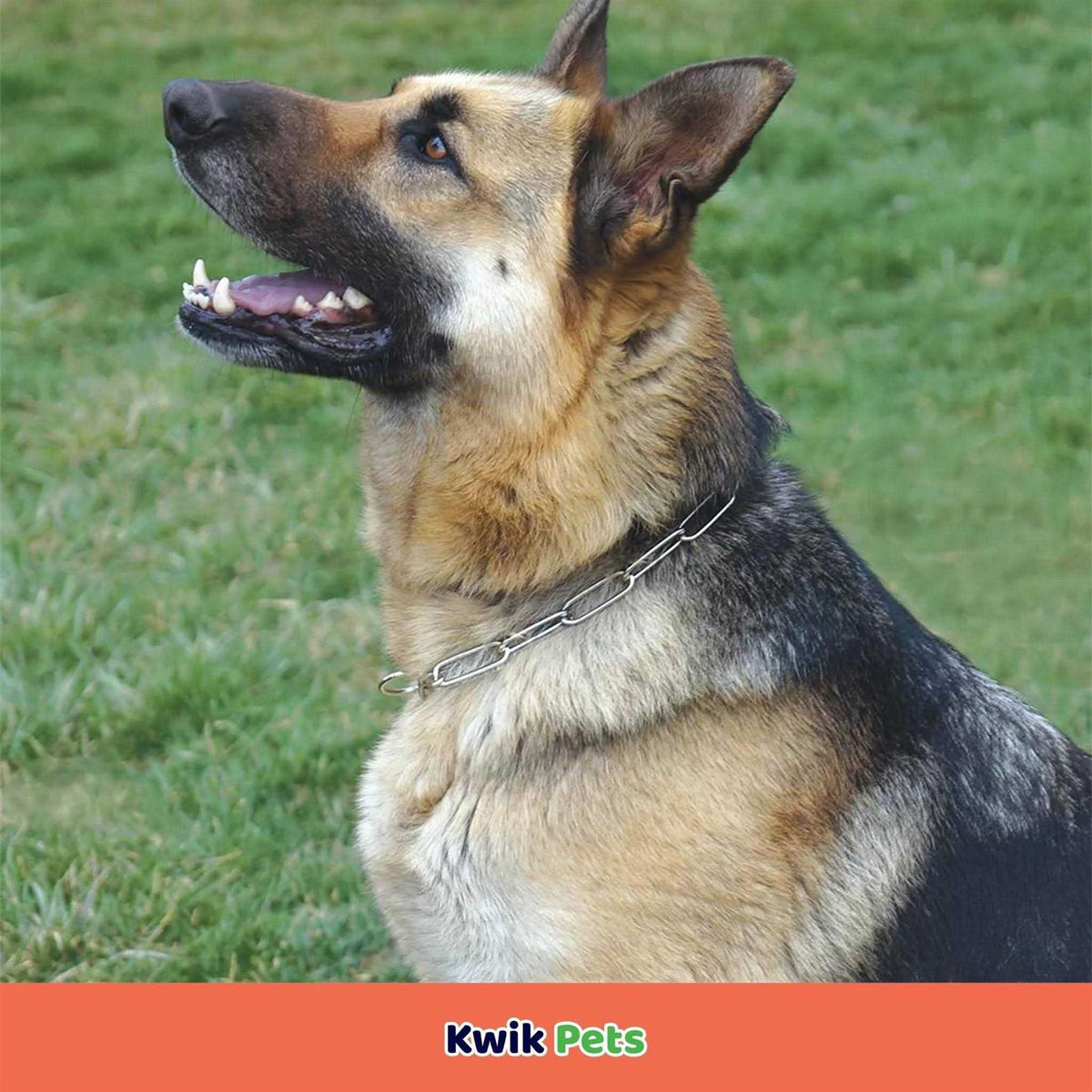 Fur Saver Link Chain Training Dog Collar W153982