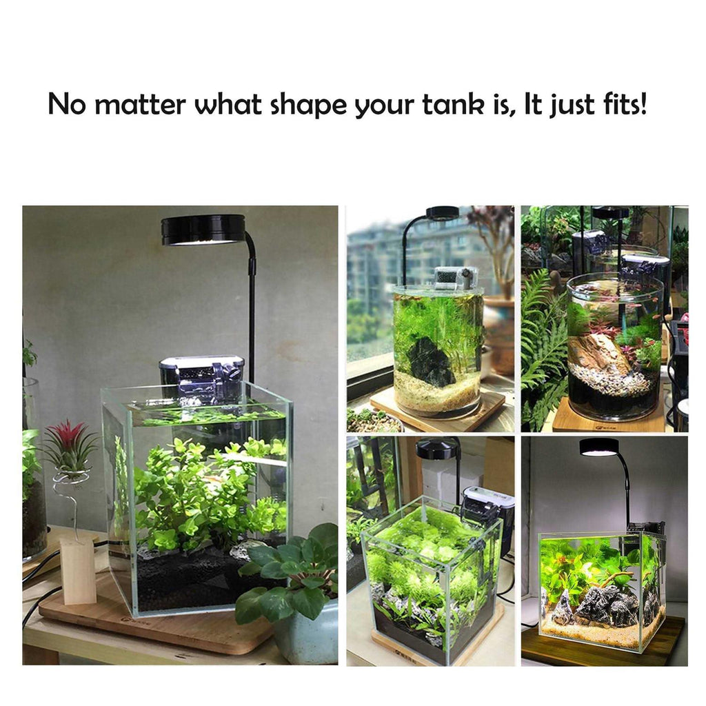 Full Spectrum LED Light with Bamboo Board Z316