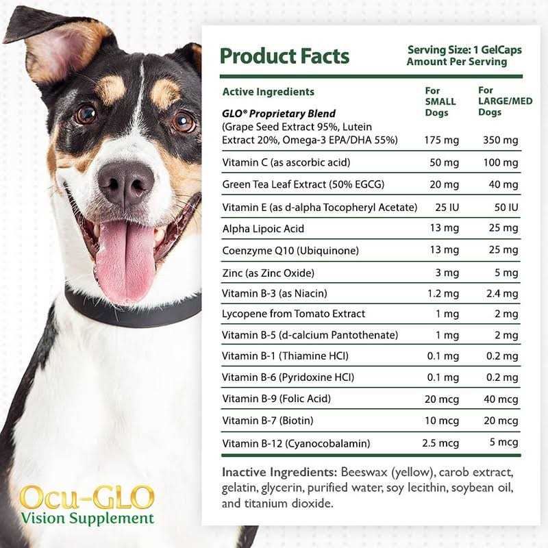 Vision Supplement for Small Dogs E87245