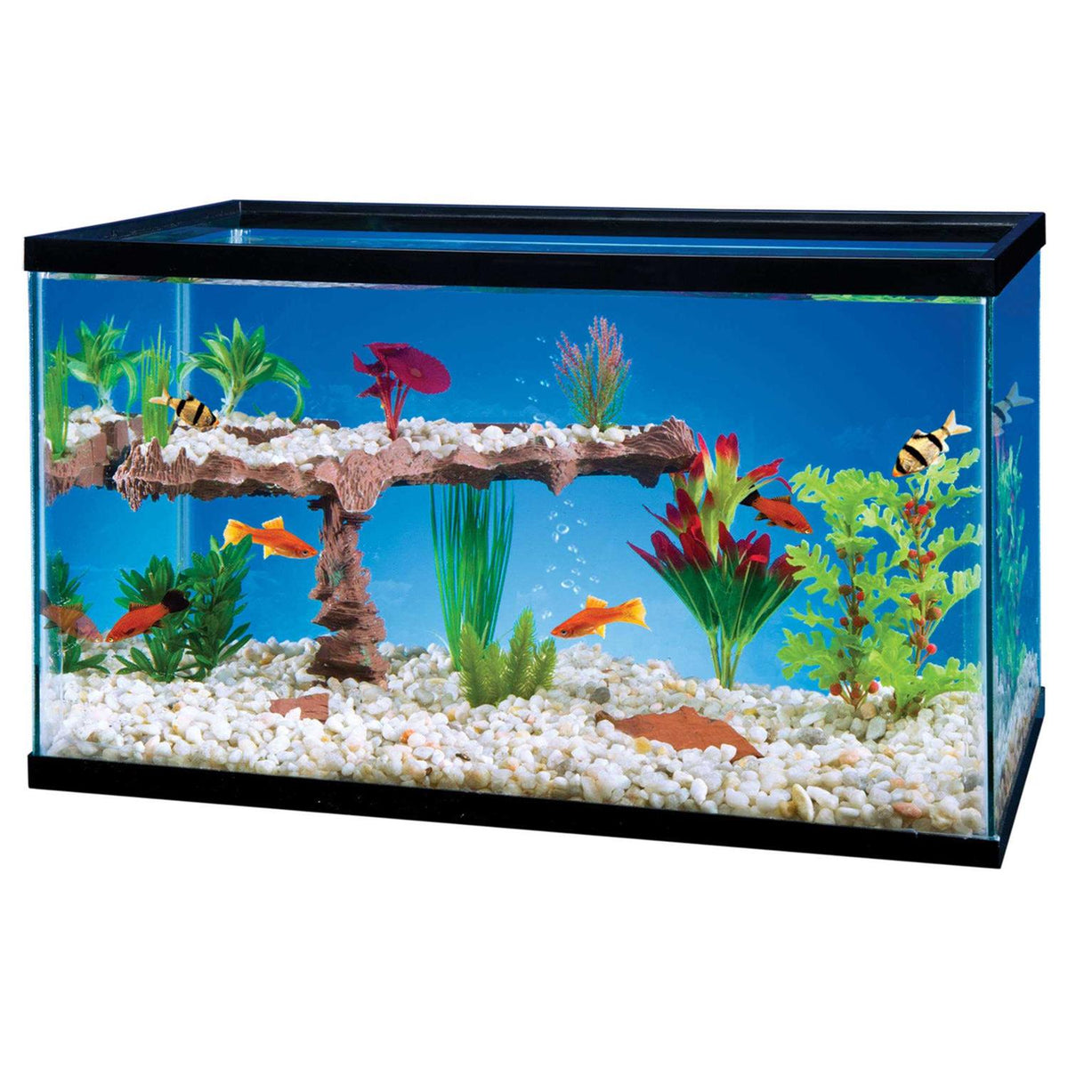Aquarium Shelf System X7949