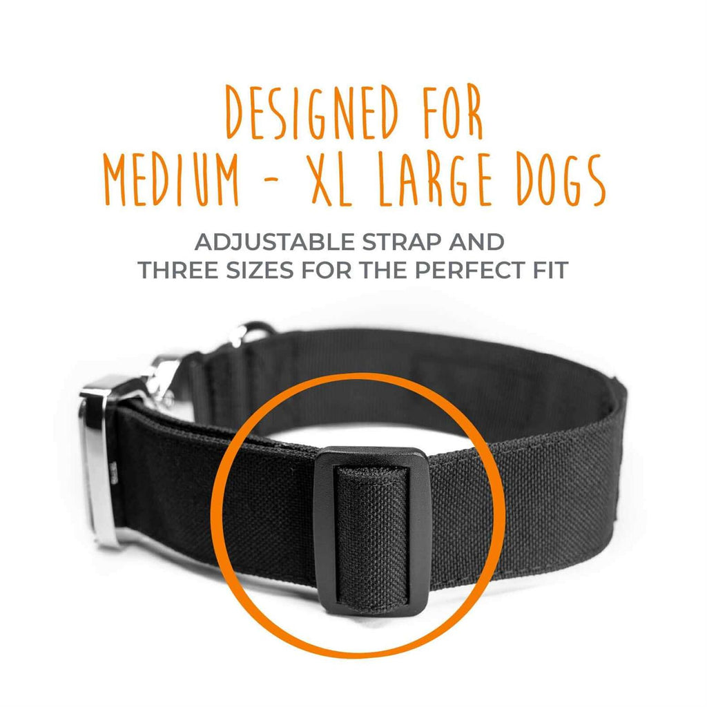 Heavy Duty Dog Collar with Metal Buckle Z974441