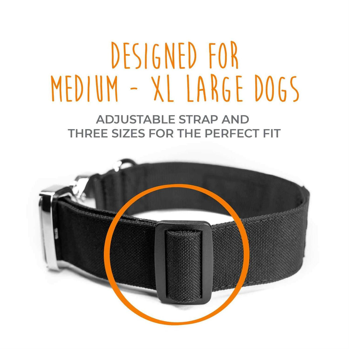 Heavy Duty Dog Collar with Metal Buckle Z974441