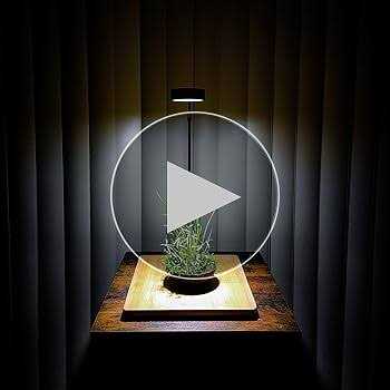 Full Spectrum LED Light with Bamboo Board Z316