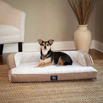 XL Sleeper Sofa Pet Bed I6783