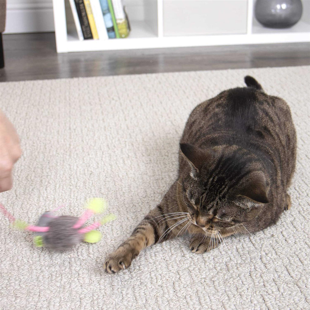 Cat Toy Z3371