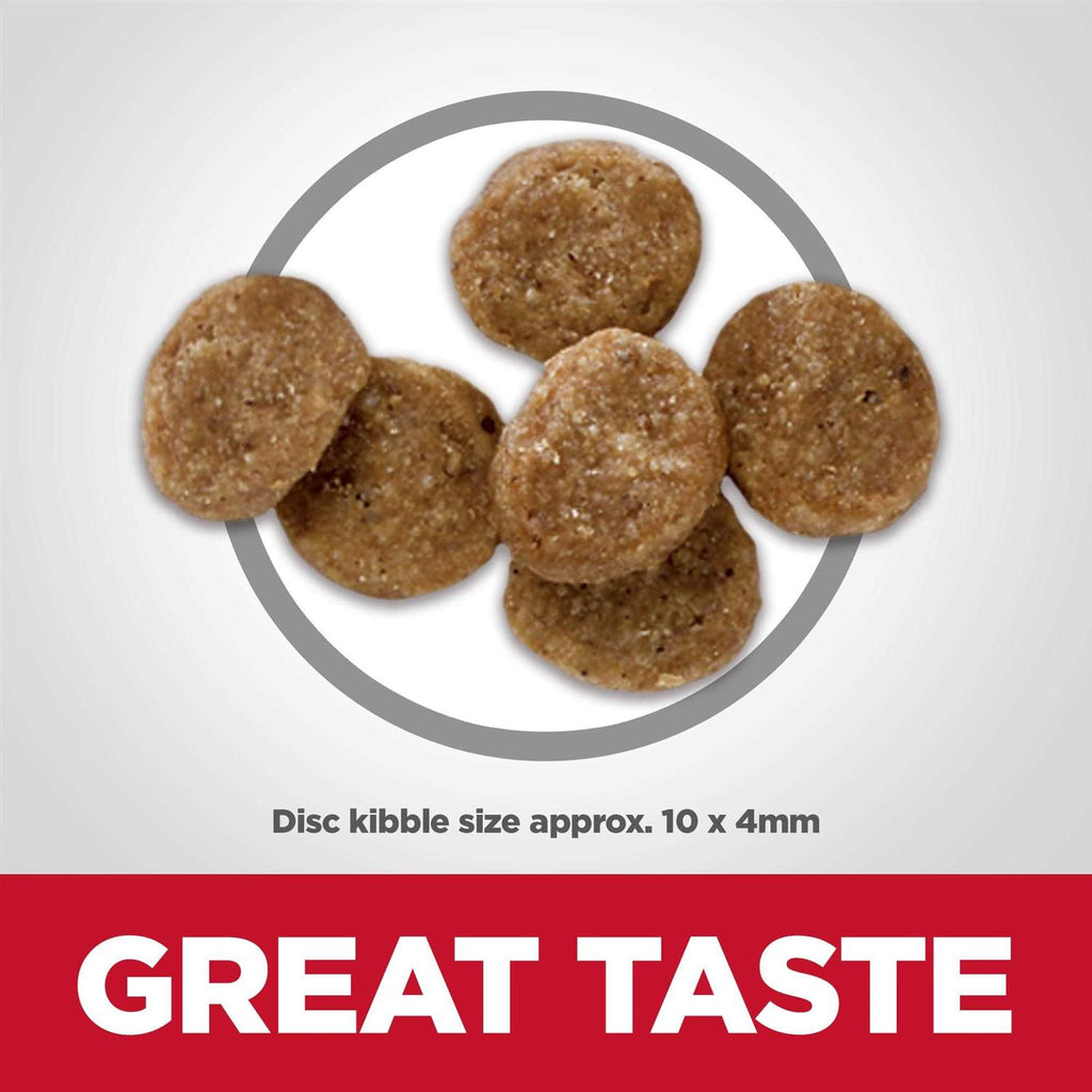 Puppy Dry Dog Food W498