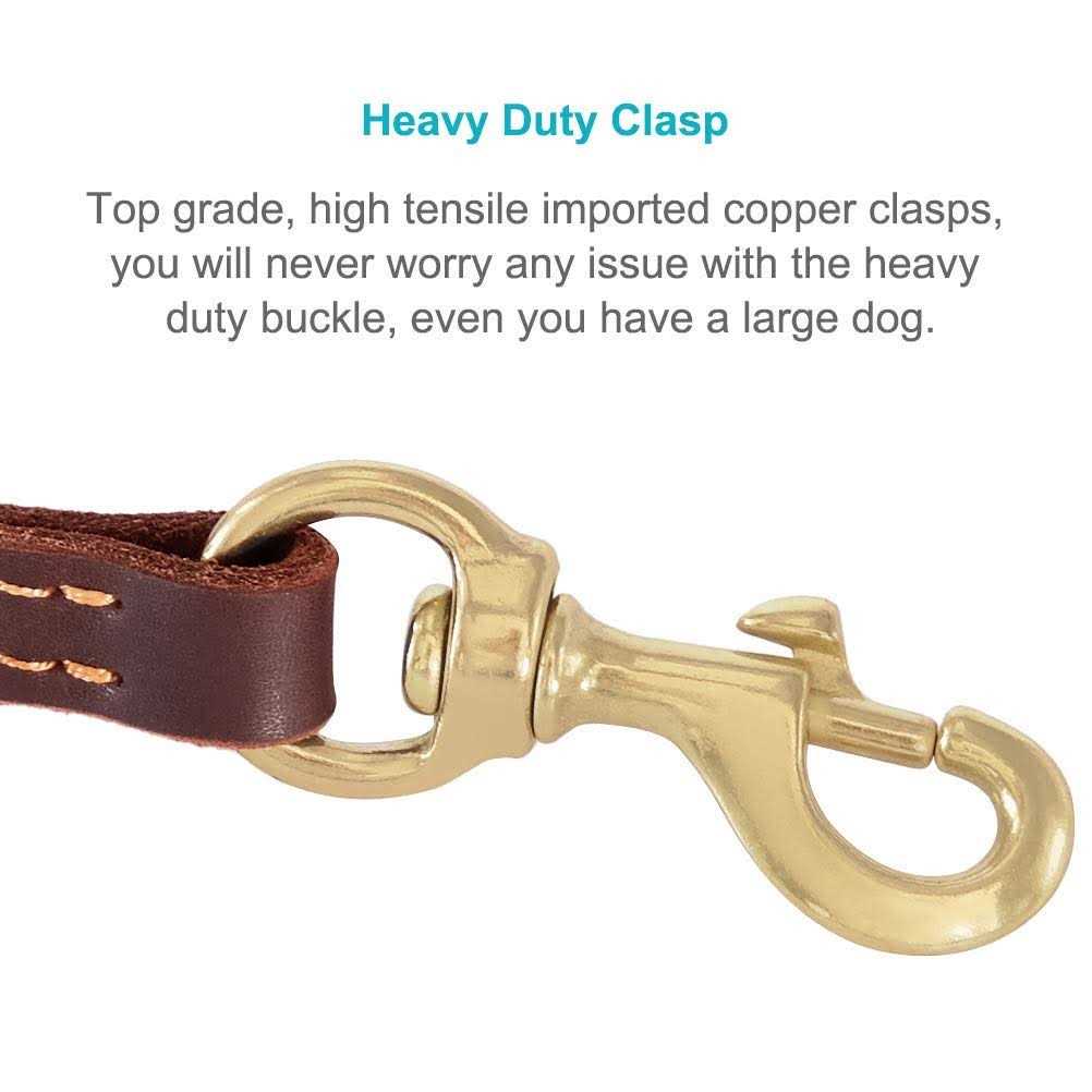 Leather 6 Foot Braided Dog Leash L876750