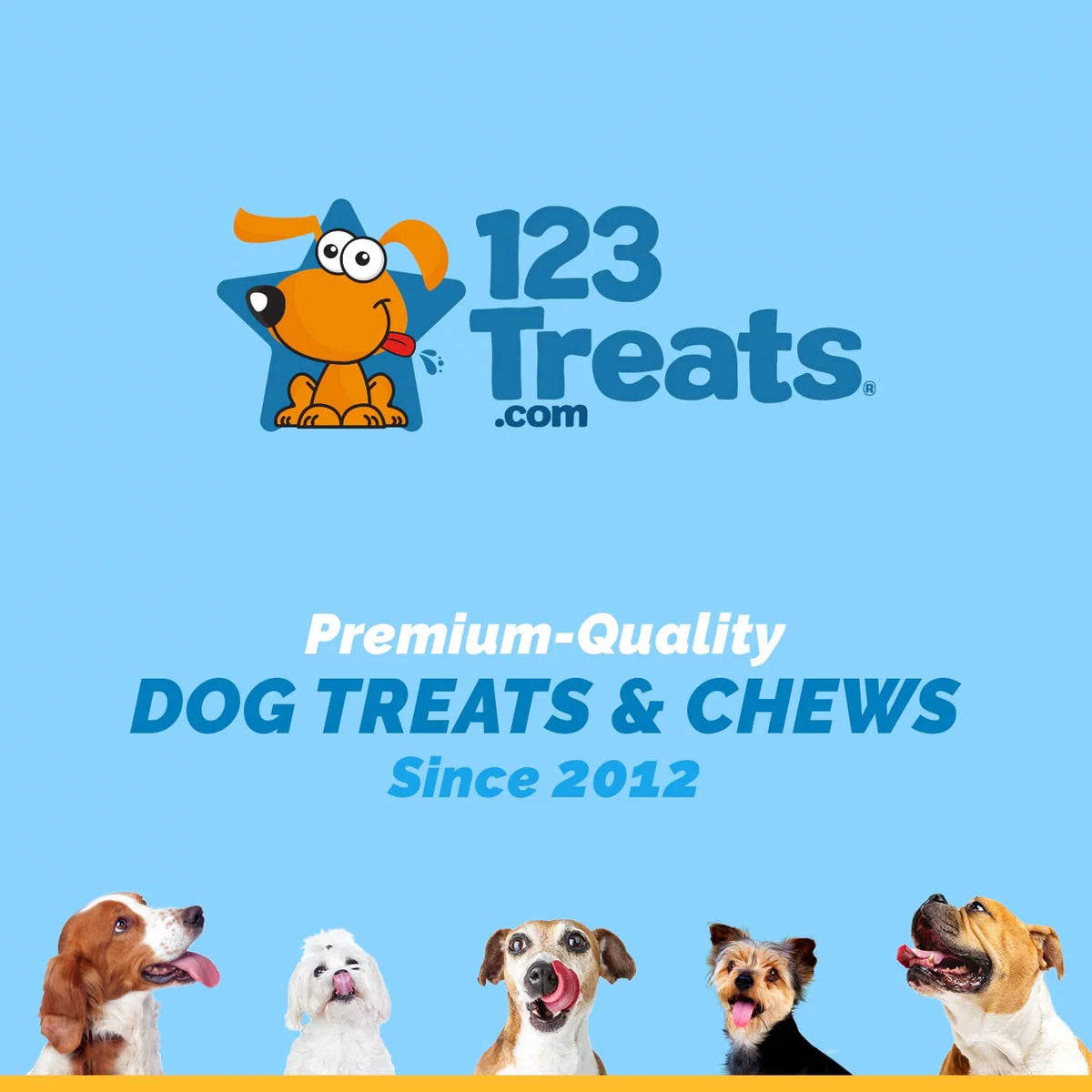 Beef Bone Chews for Dogs 3-4 inches 6 Count Z252572