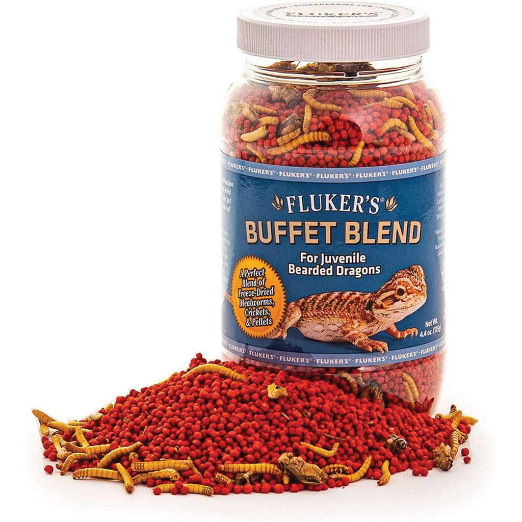 Bearded Dragon Food U9938