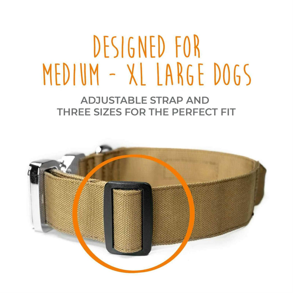 Heavy Duty Dog Collar with Metal Buckle Z974441