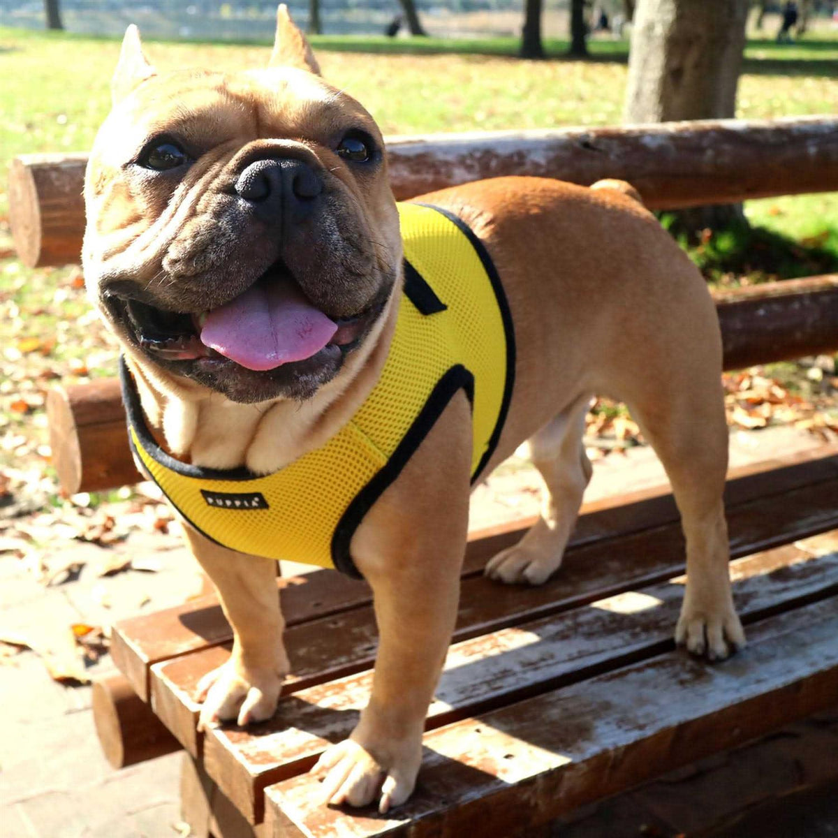 Soft Dog Harness Vest H735412