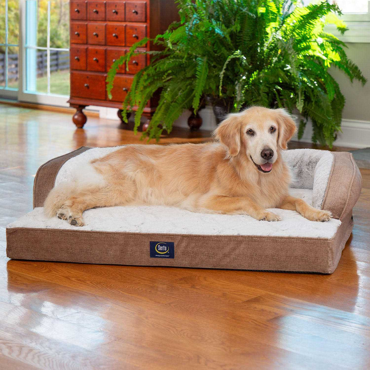 XL Sleeper Sofa Pet Bed I6783