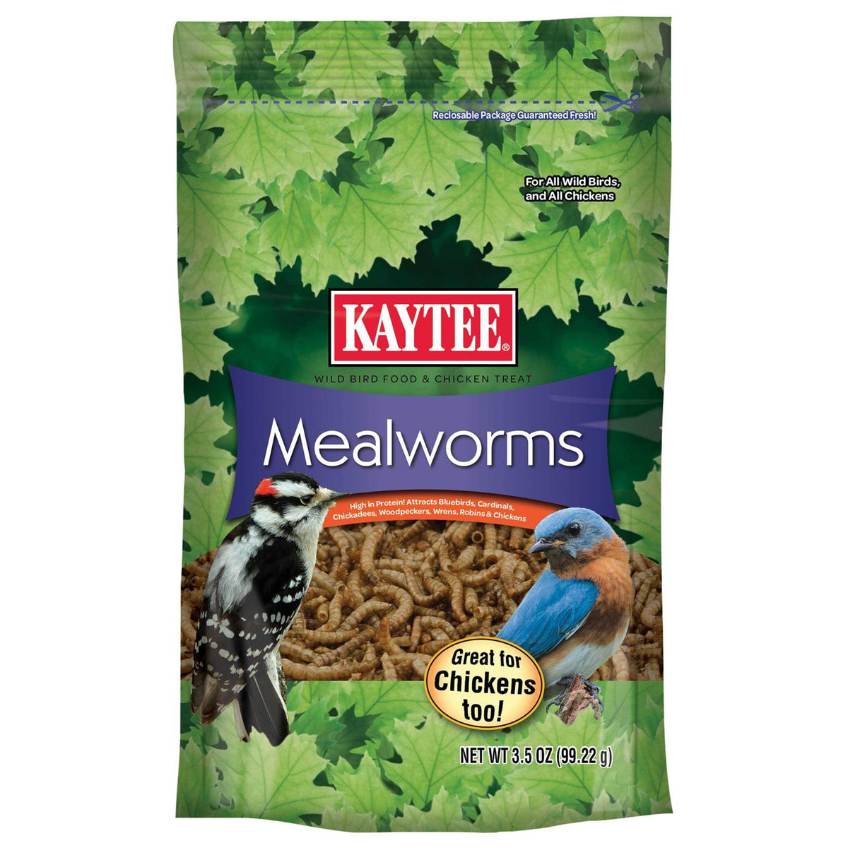 Mealworms Bird Food V5696