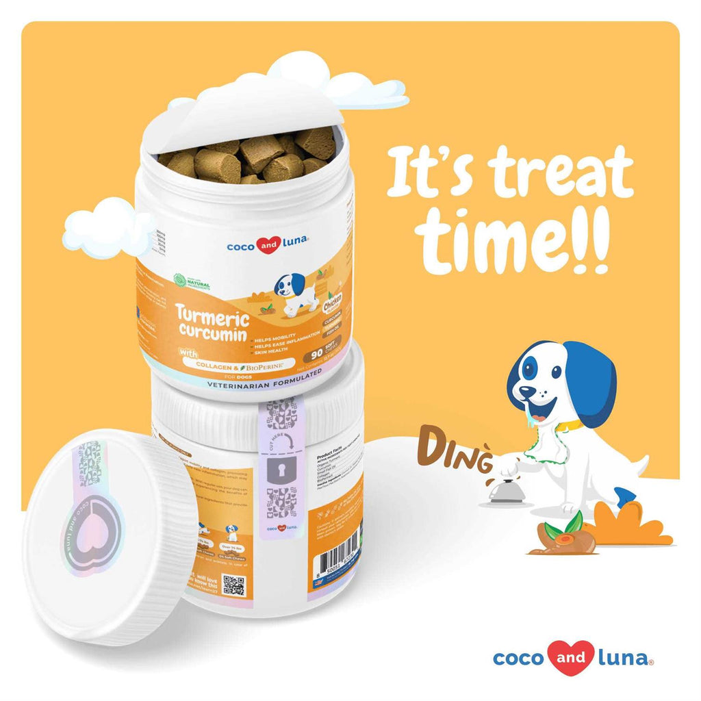 Turmeric for Dogs Y868