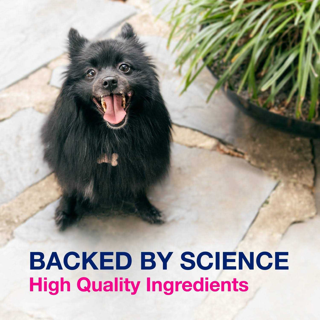 Multi-Strain Probiotics and Prebiotics for Dogs N66514