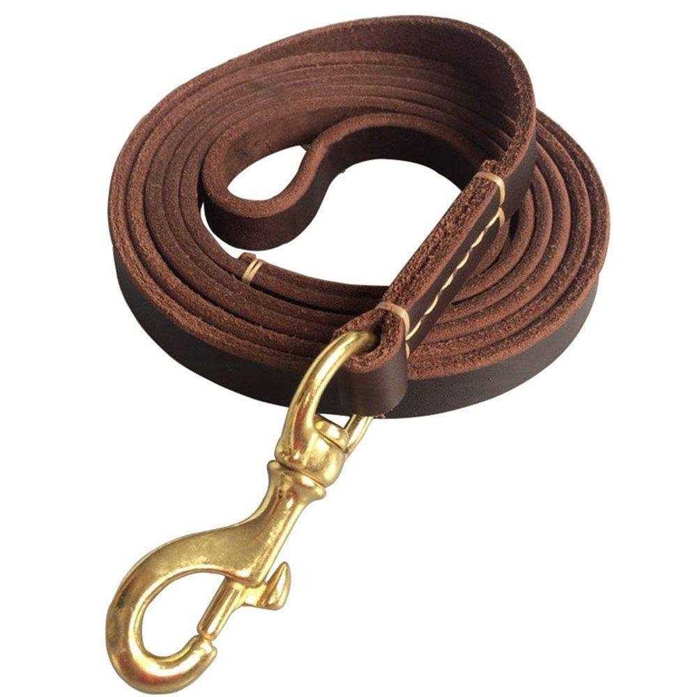 Leather 6 Foot Braided Dog Leash L876750