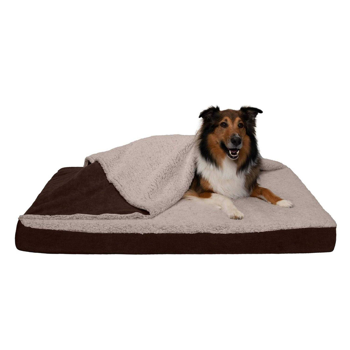 Blanket Top Dog Bed Y570
