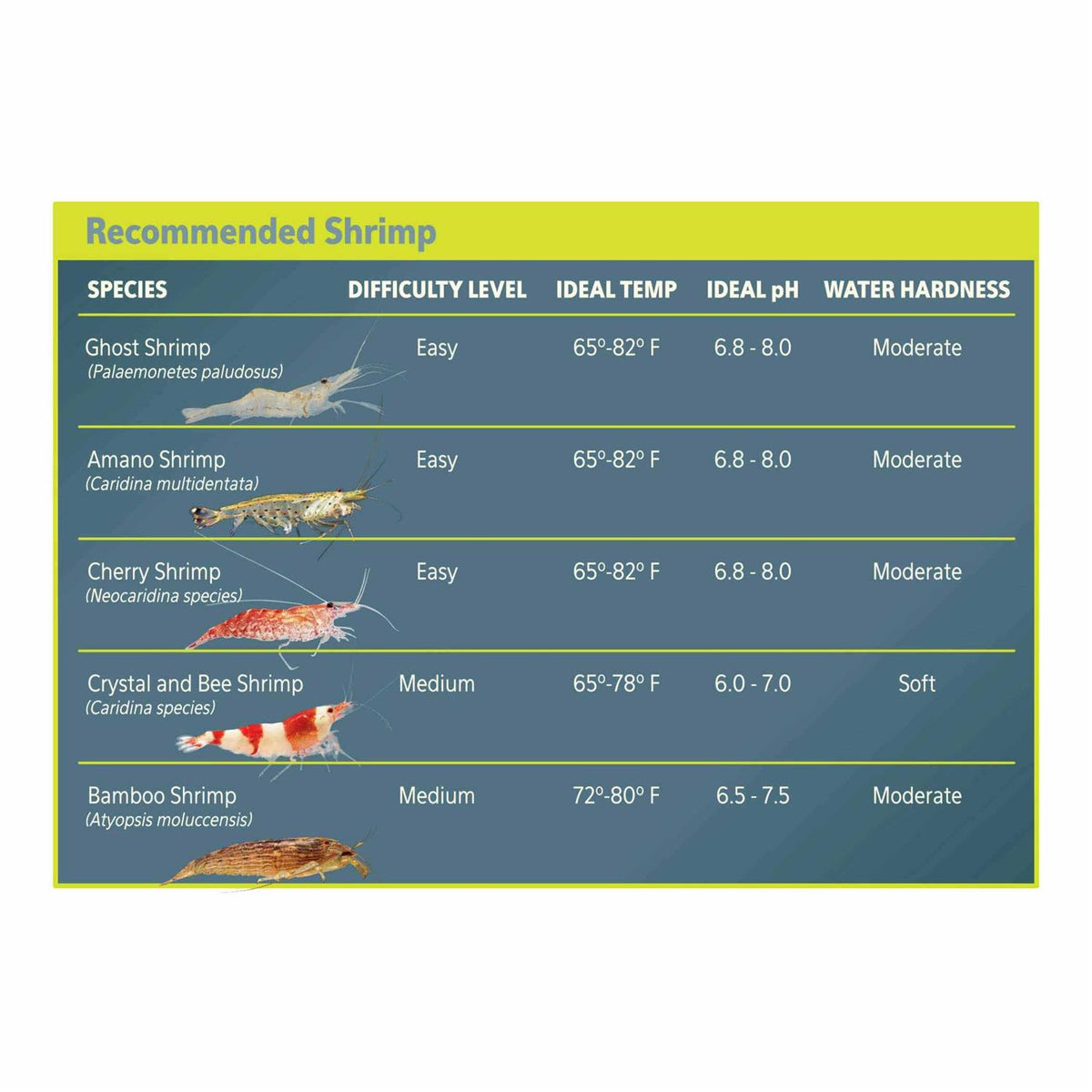 Aquarium Substrate U24934